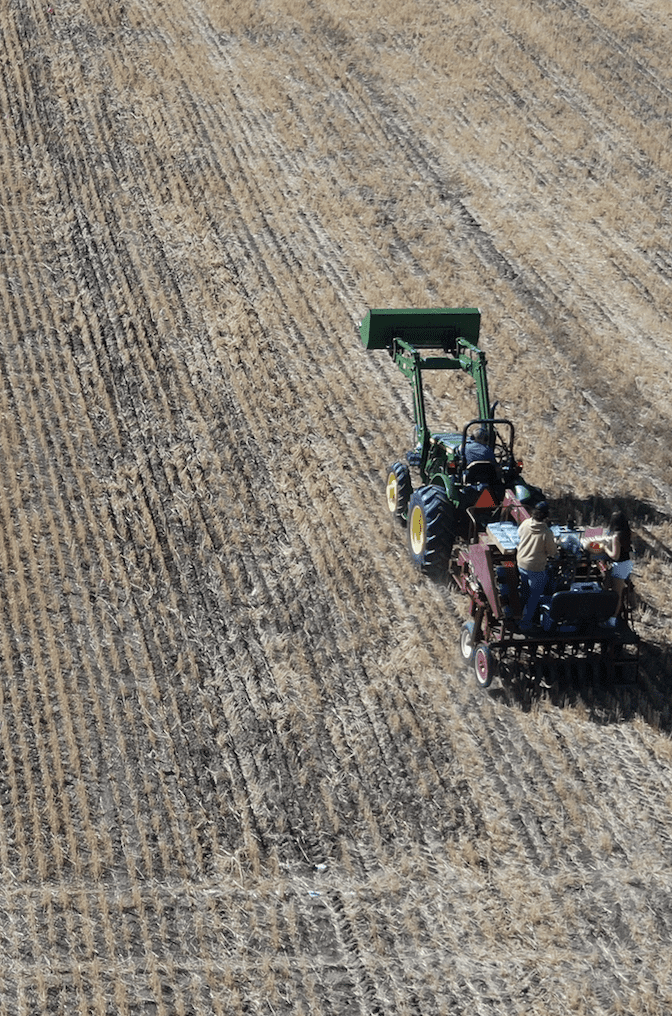 Annual Forages in a Rotation